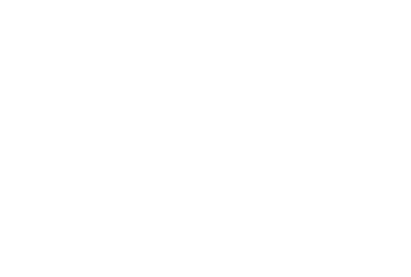 die developer